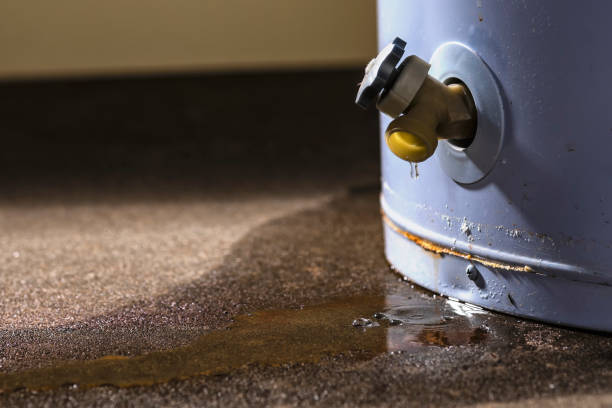 Best Water damage restoration mold remediation  in Davenport, IA