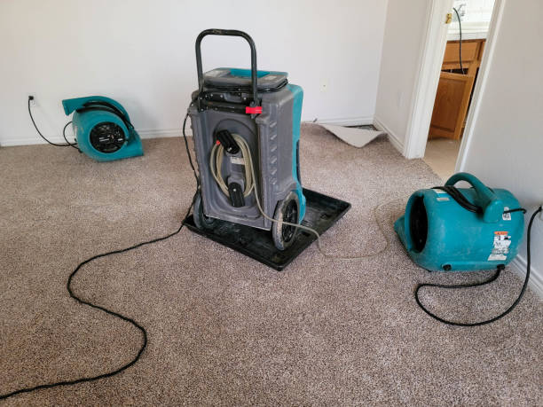 Best Professional water damage repair  in Davenport, IA