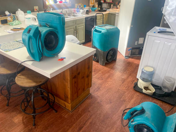 Best Flooded house restoration  in Davenport, IA