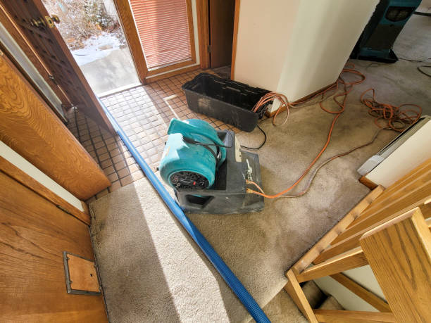 Trusted IA Water damage restoration Experts