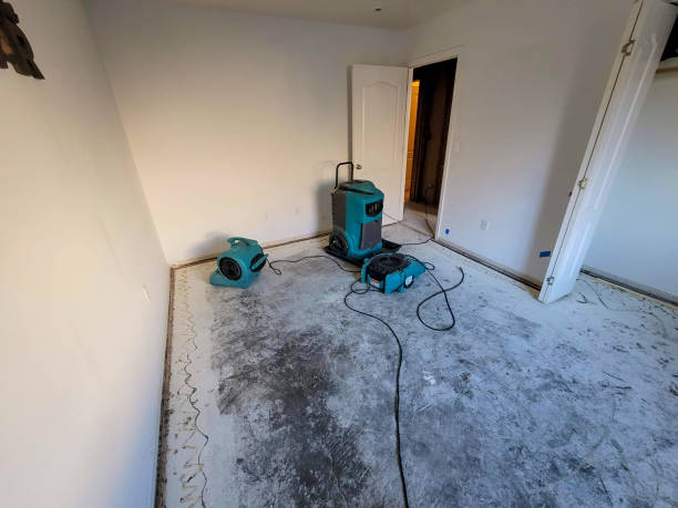 Best Water damage restoration experts  in Davenport, IA