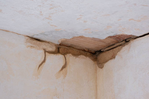 Best Basement water damage restoration  in Davenport, IA