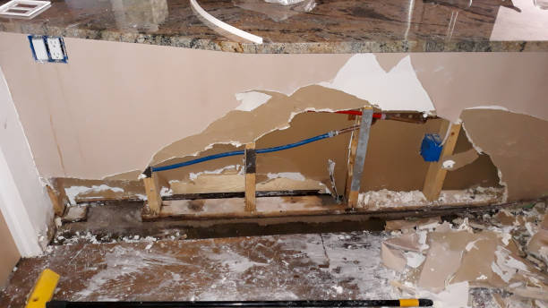 Best Ceiling water damage repair  in Davenport, IA