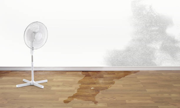 , IA Water damage restoration Company