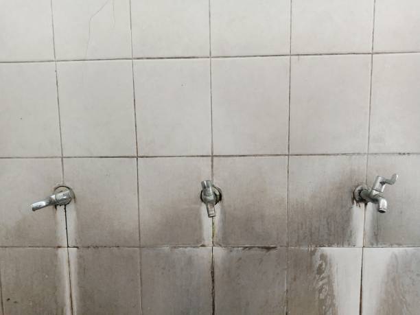 Best Flood damage cleanup  in Davenport, IA