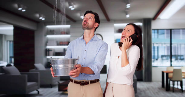 Best Residential water damage restoration  in Davenport, IA