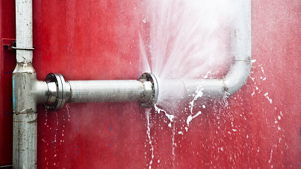Best Mold removal after water damage  in Davenport, IA
