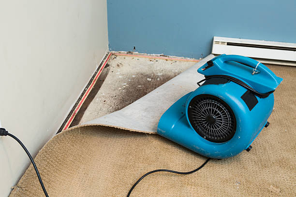 Best Water damage restoration near me  in Davenport, IA